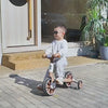 Kids Scooter Tricycle Bike Baby Swing Ride