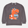 KK Cool Dino Brown Sweatshirt 5487
